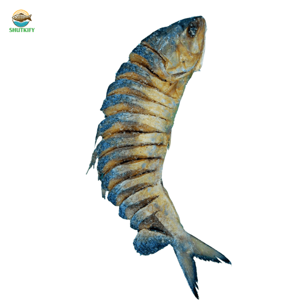 নোনা ইলিশ