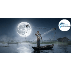 বিলের মাছ 