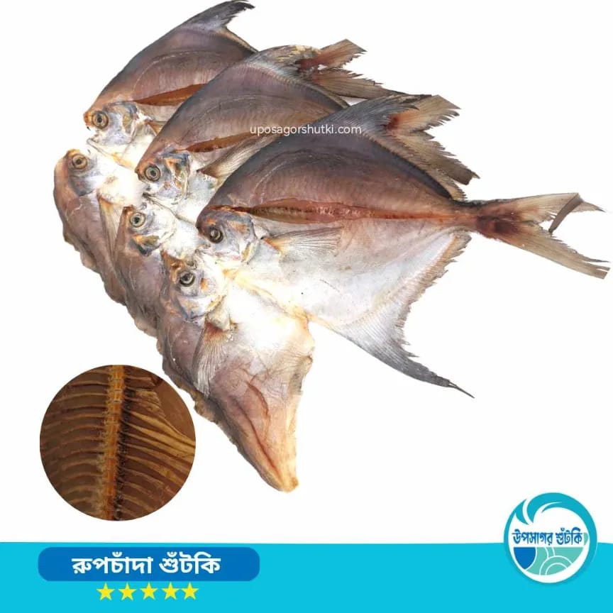 রুপচাঁদা শুঁটকি।