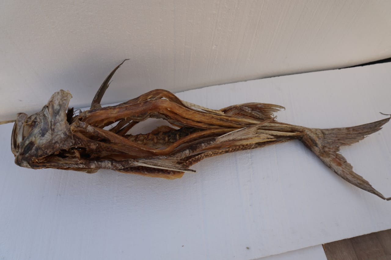 লাক্ষা শুঁটকি