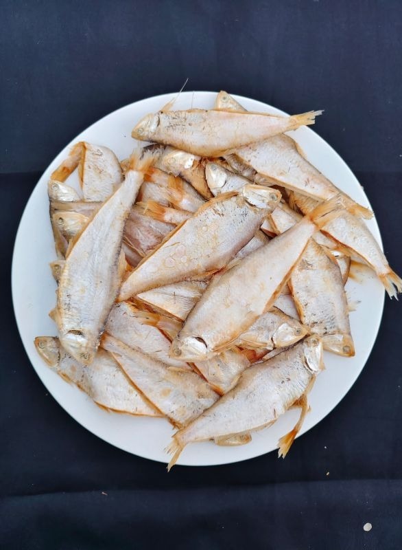 ফাইশ্যা মাছের চ্যাপা শুঁটকি