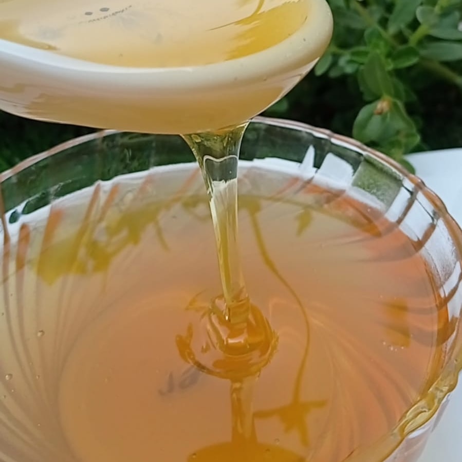 Tested Honey Pure Radiance Nectar Plum 1 | বরই ফুলের মধু