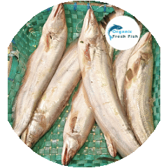 বোয়াল মাছ  (3 কেজী)